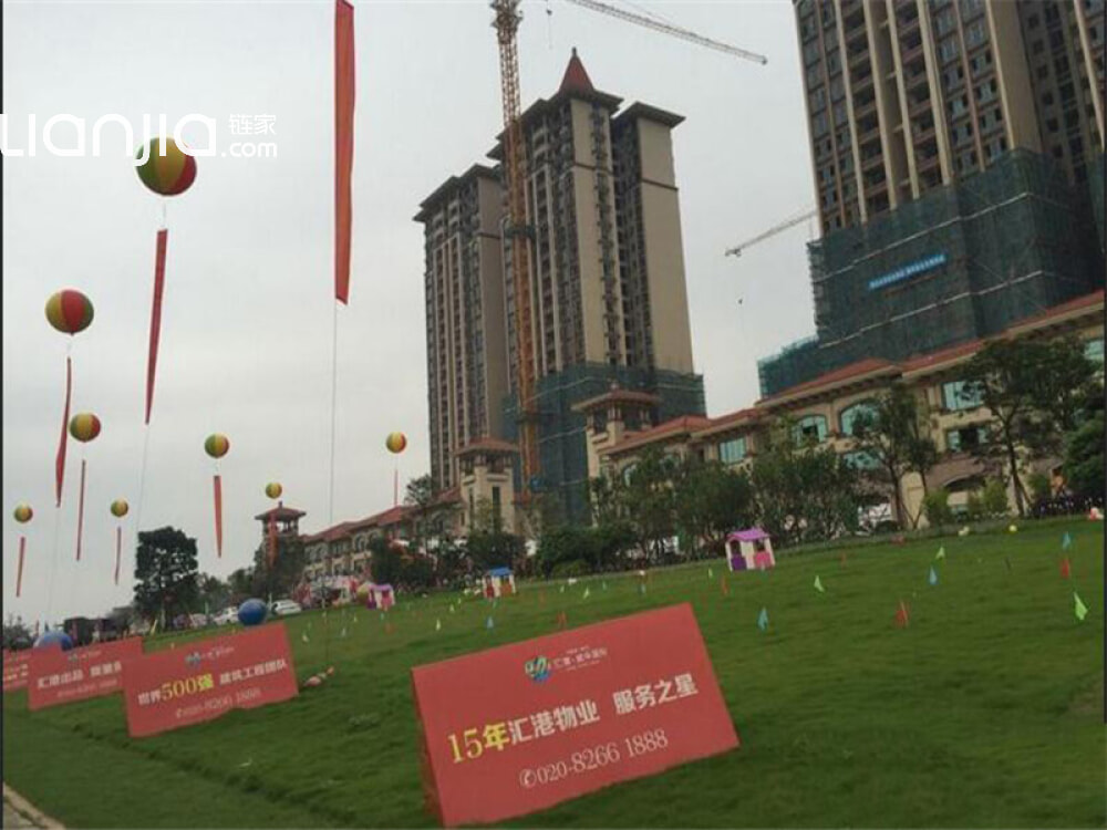 汇港威华国际引领行业趋势，塑造未来蓝图之最新动态速递