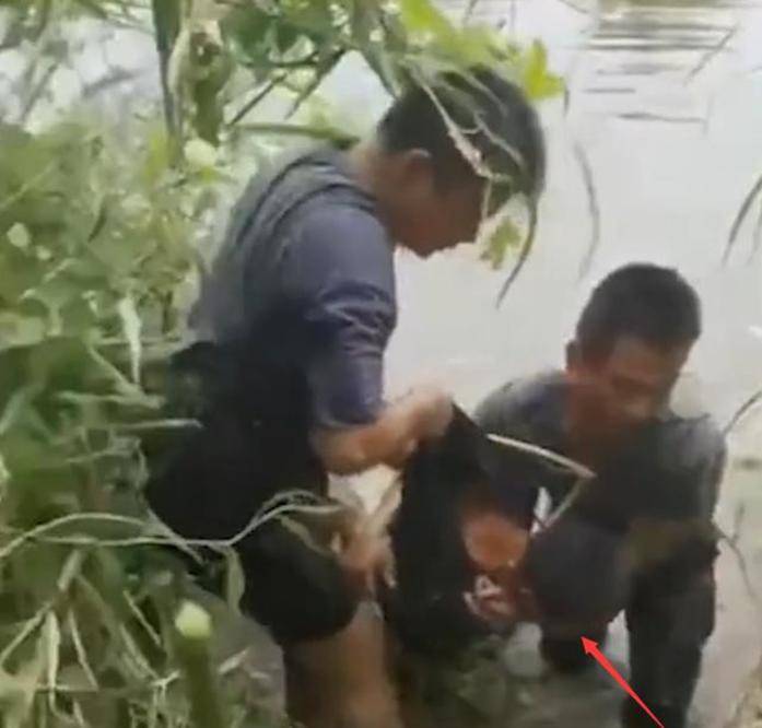 湖南常德杀人案最新消息，深度探究悲剧背后真相