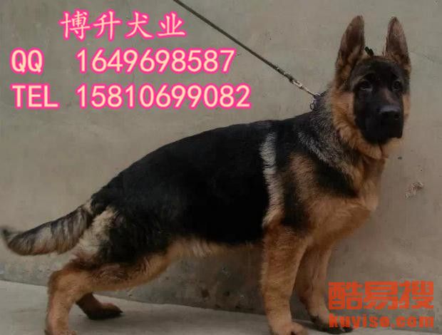 模压玻璃钢水箱 第942页