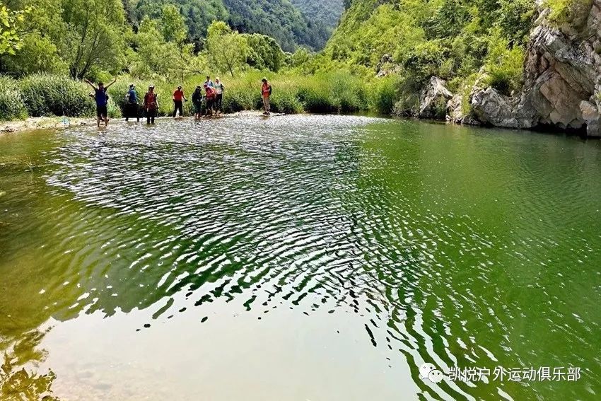 清水源夏日垂钓趣事，友情纽带与最新消息分享