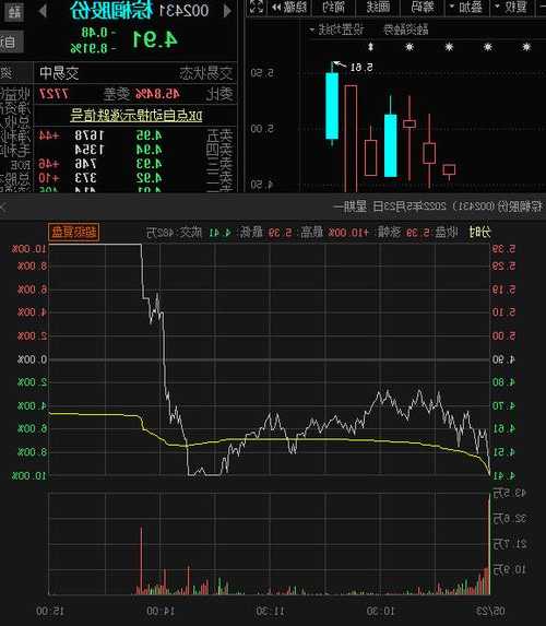 棕榈股份最新动态解析，跟进股市与投资决策的关键指南