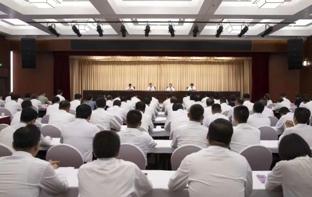 甘肃最新任免动态解析及调整
