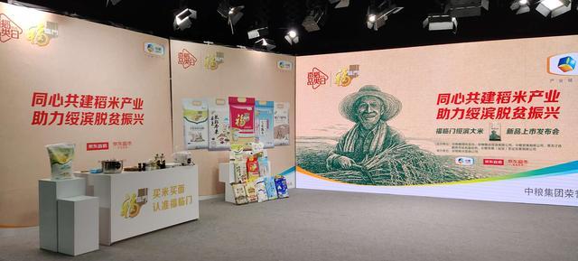 全球最新大米动态，多元视角探讨大米的现状与发展