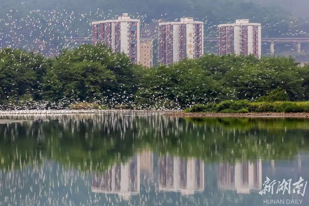 模压玻璃钢水箱 第104页