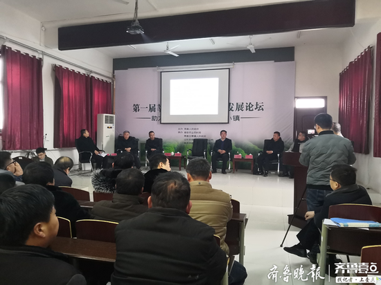 莘县最新发展论述，揭示县域进步与未来展望