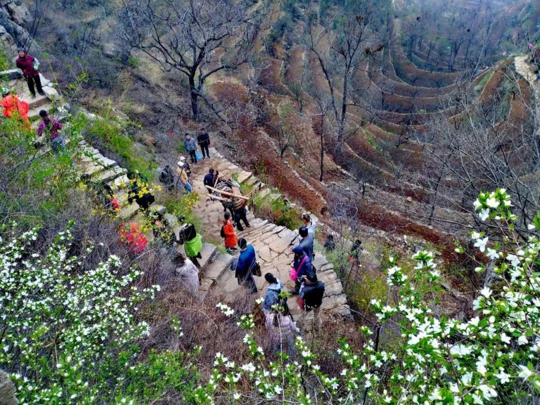 涉县龙山华府，家的温馨与友情的绽放最新动态