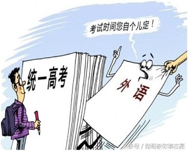河南高考改革最新动态，小巷深处的探索与变革之旅