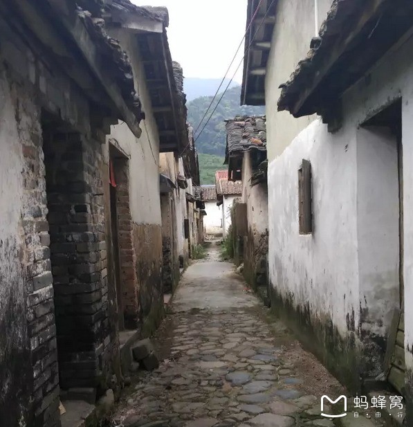广西庞声航最新任职揭秘，小巷中的隐藏美食宝藏管理者