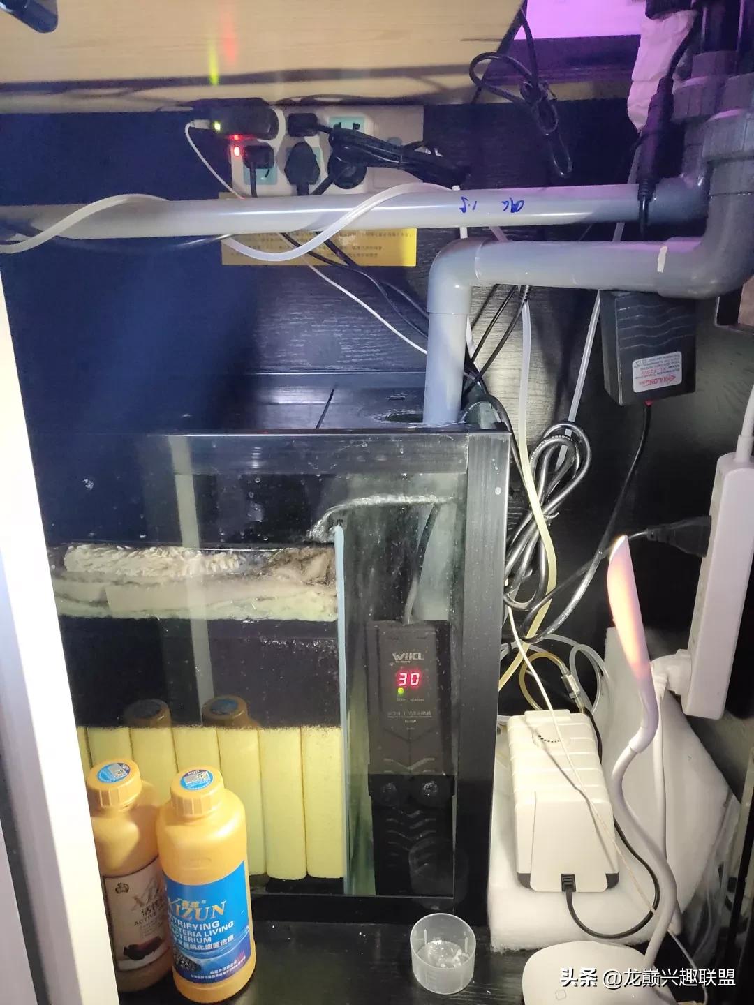 可丽爱鱼缸最新款，引领家居水族新风尚