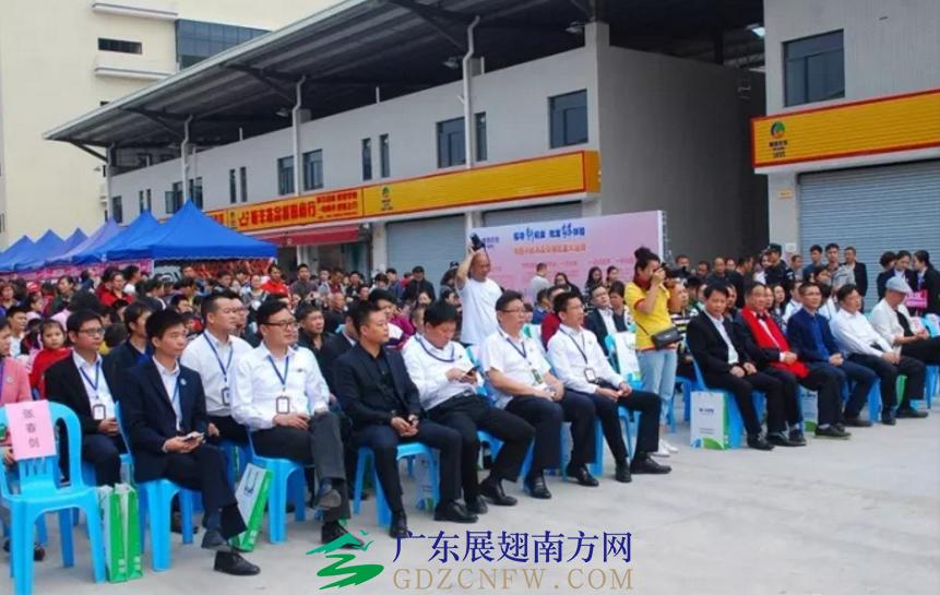粤西农批最新招聘消息，职业发展的新机遇探索