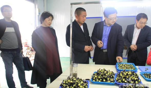 勉县移民搬迁最新政策详解，政策论述与更新动态