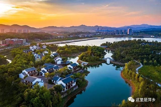 萍乡中央半岛新动态，变革力量下的学习与成长之旅