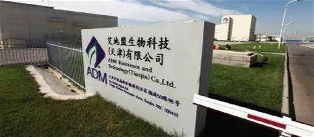 天津艾地盟最新招聘日常趣事概览
