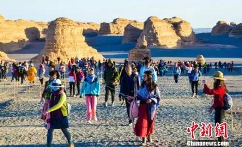 海丰新闻热点揭秘，杀人案与心灵绿色之旅的双重探寻