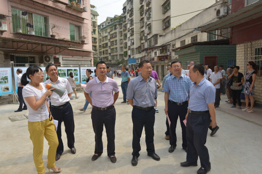 阆中蒋建平最新动态更新