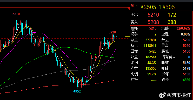 PTA最新今日现货价格揭秘，小巷深处的宝藏一览