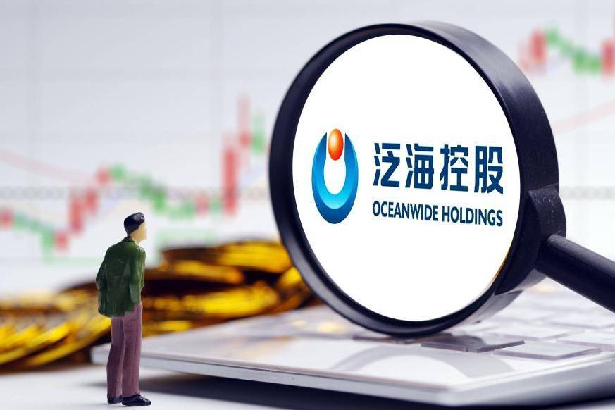 海虹控股最新收购动态，深度分析与观点阐述