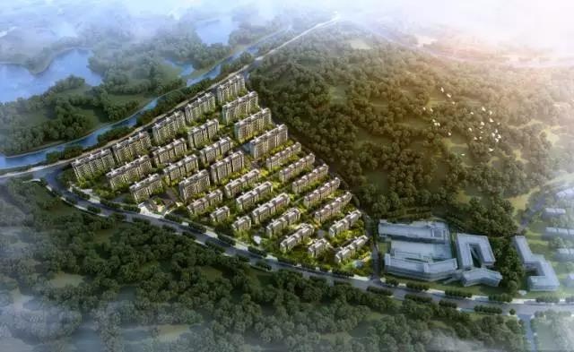 栖霞山华侨城最新动态揭秘，获取最新信息与参与活动指南