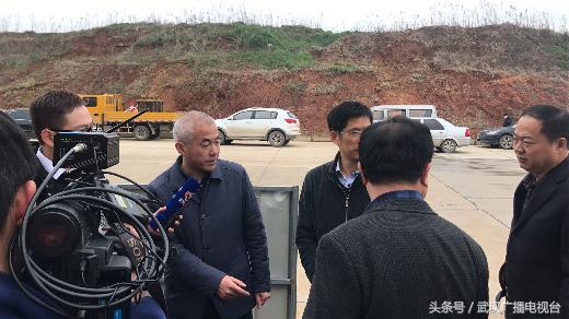 阳逻格林美最新招聘，小巷中的隐藏宝藏，探索职业新机遇！