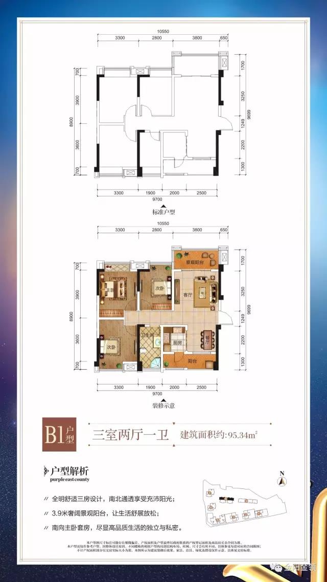绵阳金阳金领最新消息详解与指南